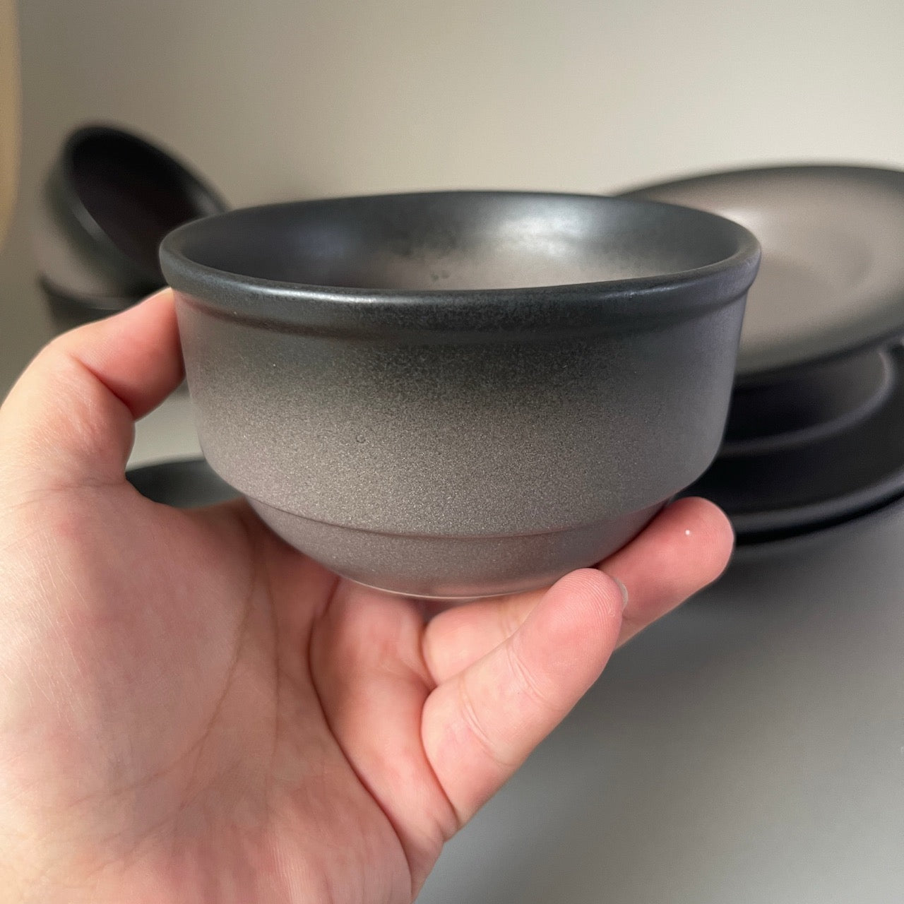 Set of 2 dual black toned ceramic dinner plates and dal bowls – modern dinnerware for stylish table settings