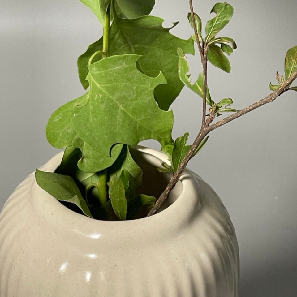 Glossy white ceramic vase with ribbed texture, tall and stout silhouette, styled on a console with dried flowers