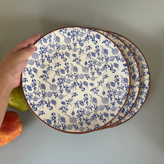 Adorned with delicate floral decals, these ceramic dinner plates in white add a touch of natural elegance to your table. Available in a set of 6. Ideal for gifting or self consumption