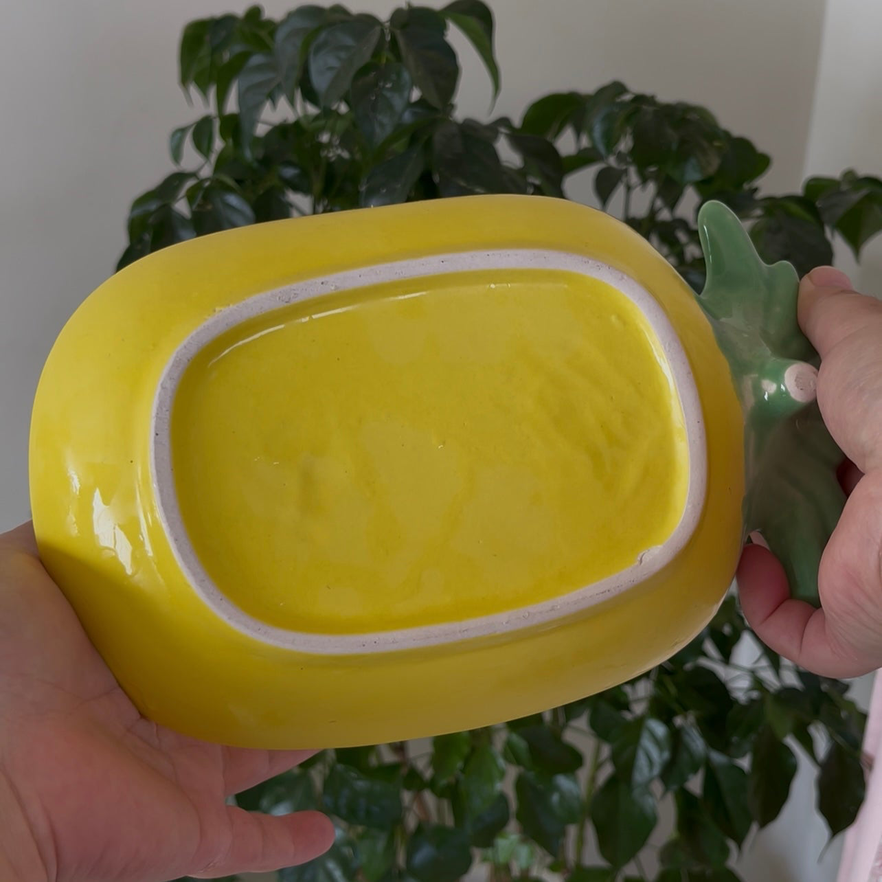 Yellow platter held by a hand with a green plant in the background
