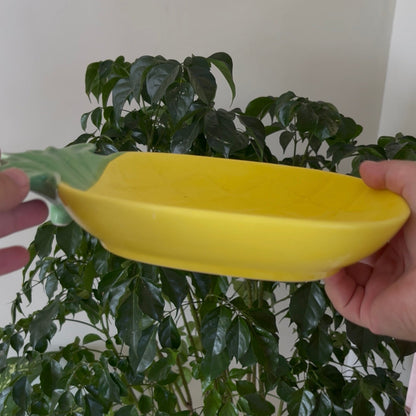 Yellow pineapple planter held above a green plant