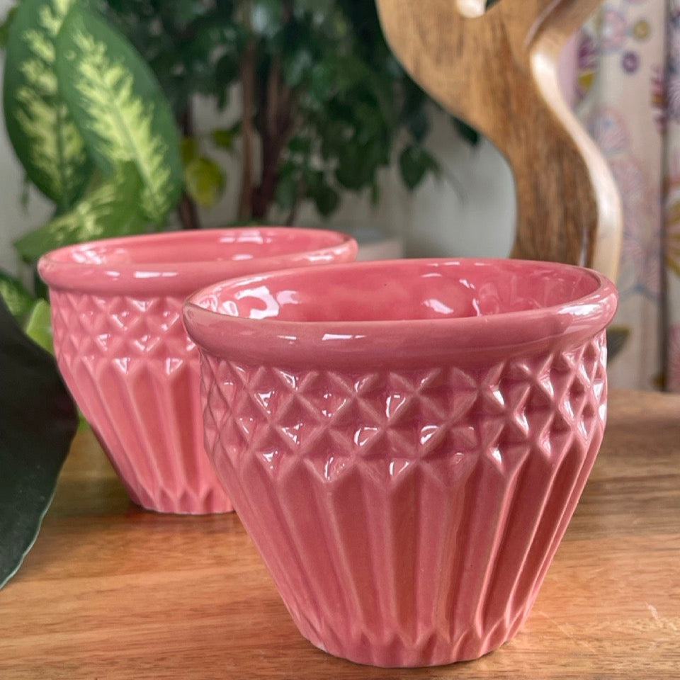 Two pink textured bowl cups on a wooden surface with a plant in the background.