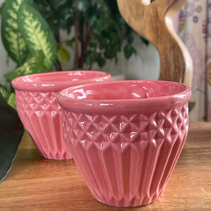 Two pink textured bowl cups on a wooden surface with a plant in the background.