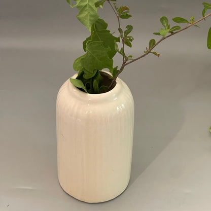 Glossy white ceramic vase with ribbed texture, tall and stout silhouette, styled on a console with dried flowers